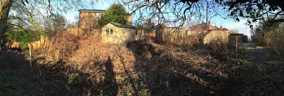 Japanese knotweed control Warrington