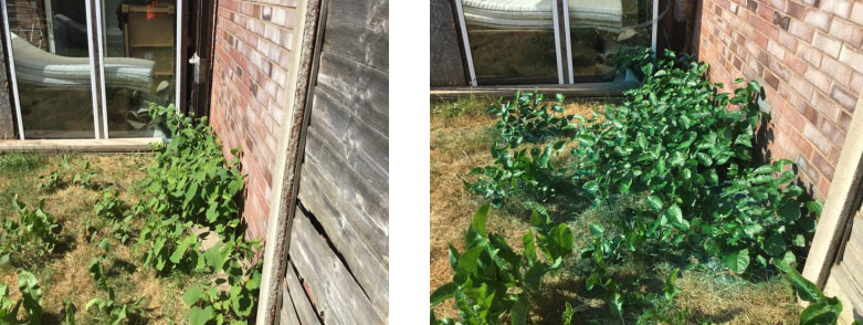 Featured-Knap-Sack-image