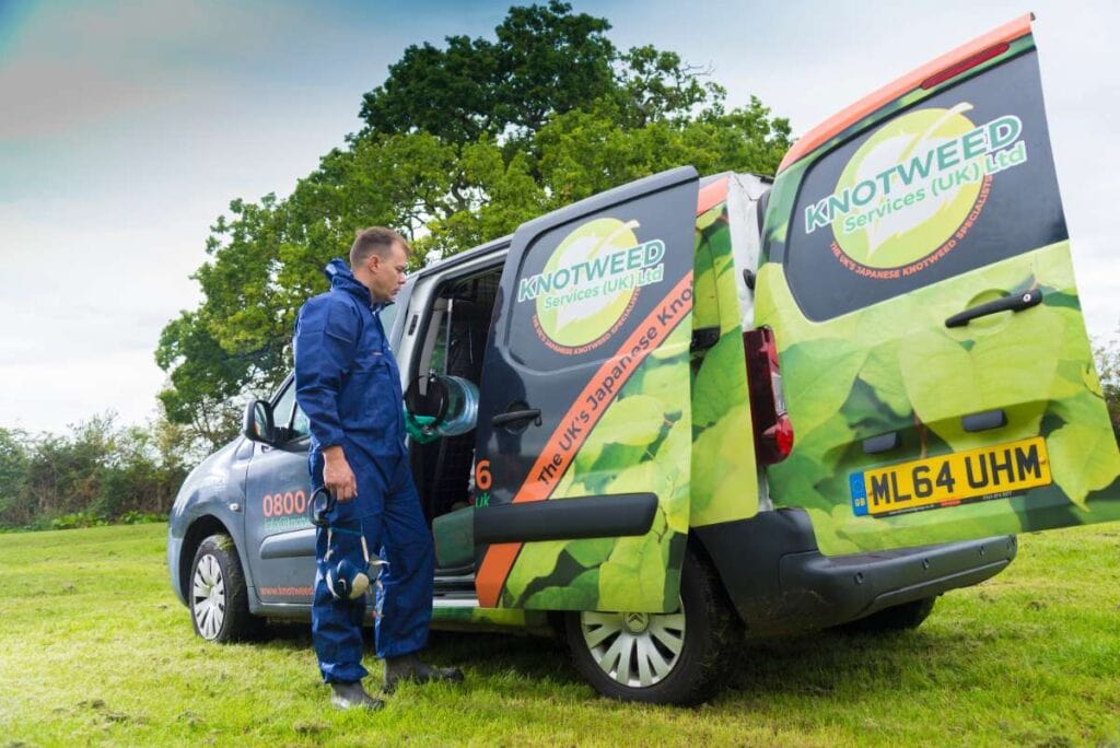 Japanese Knotweed Removal Stoke