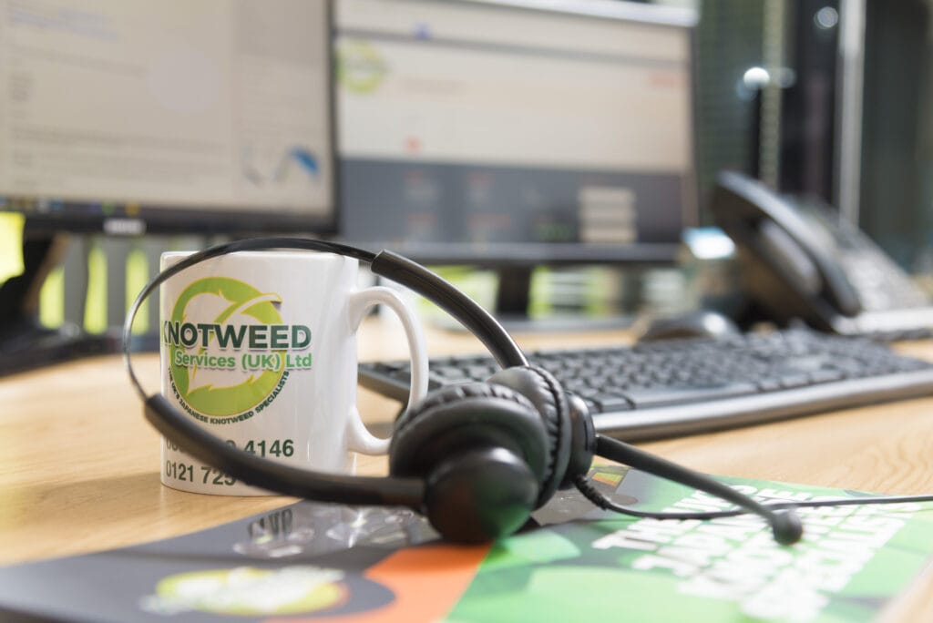 How to report Japanese Knotweed