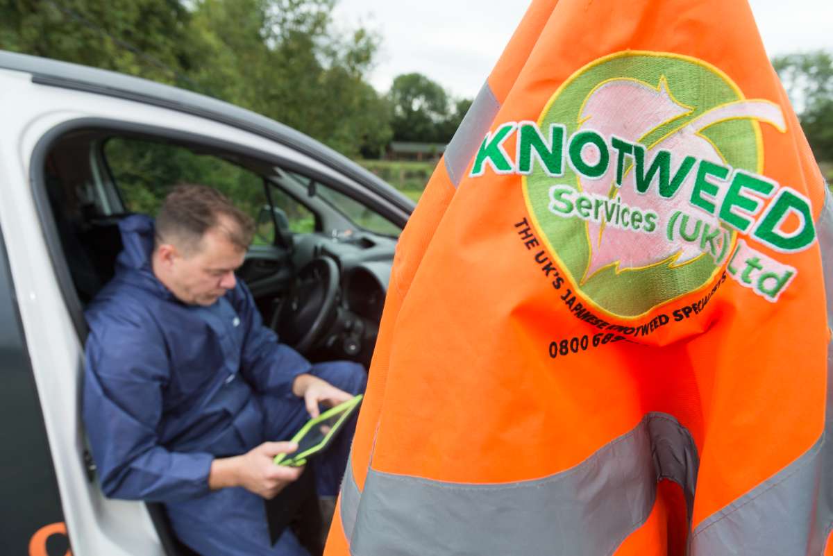 Expert Japanese Knotweed Removal in Higham Ferrers Get Your Property