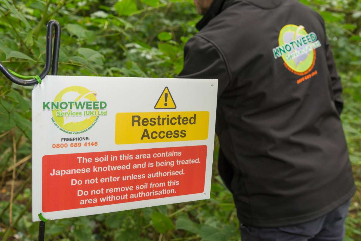 One of our technicians talking to a client and answering the question - how does Japanese knotweed spread?
