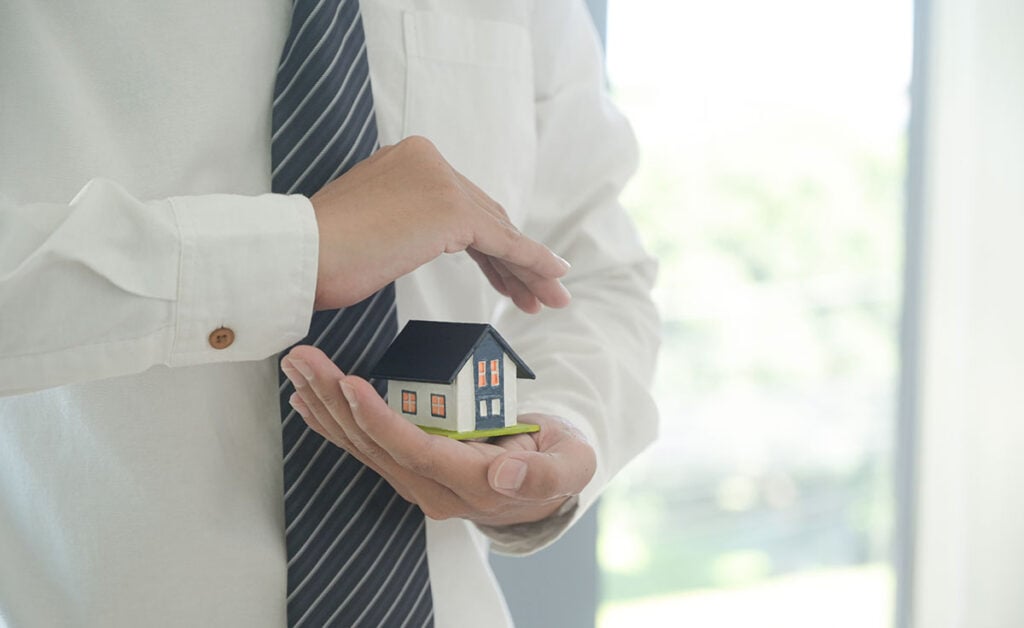 Knotweed and Home Insurance