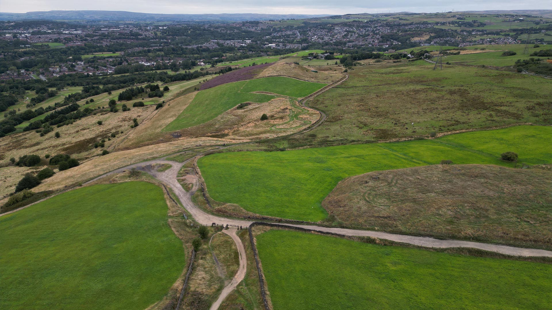 Japanese Knotweed Removal Tameside Commercial Domestic