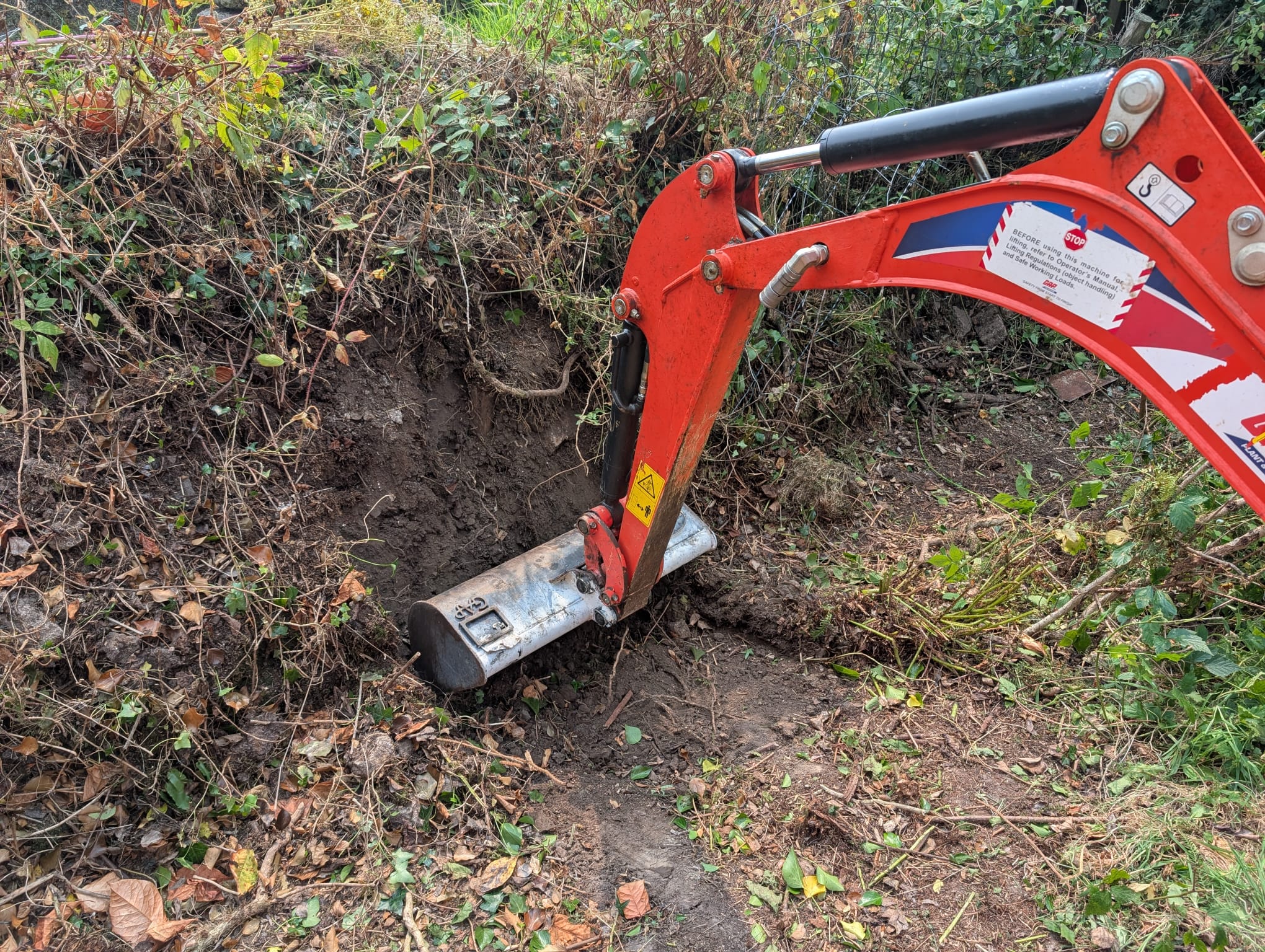 Invasive weed control - our technician showing a rhizome
